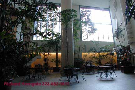 atrium6.jpg