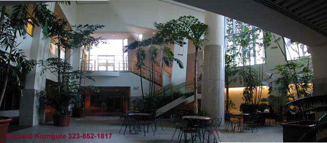 atrium7.8.jpg